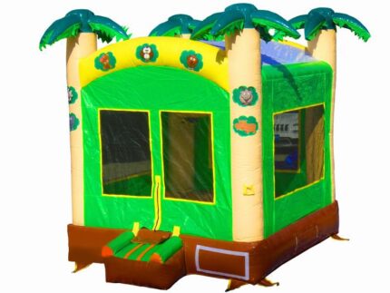 Mini Jumping Castle