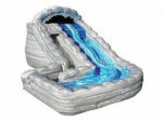 Wild Rapids Dual Lane Water Slide