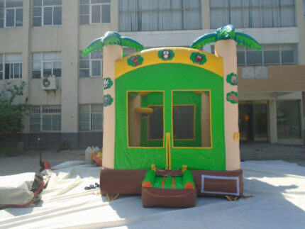 Mini Jumping Castle