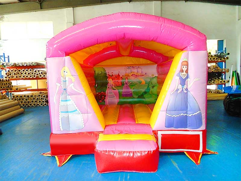 Mini Bouncy Castle